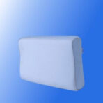 بالشت مموری